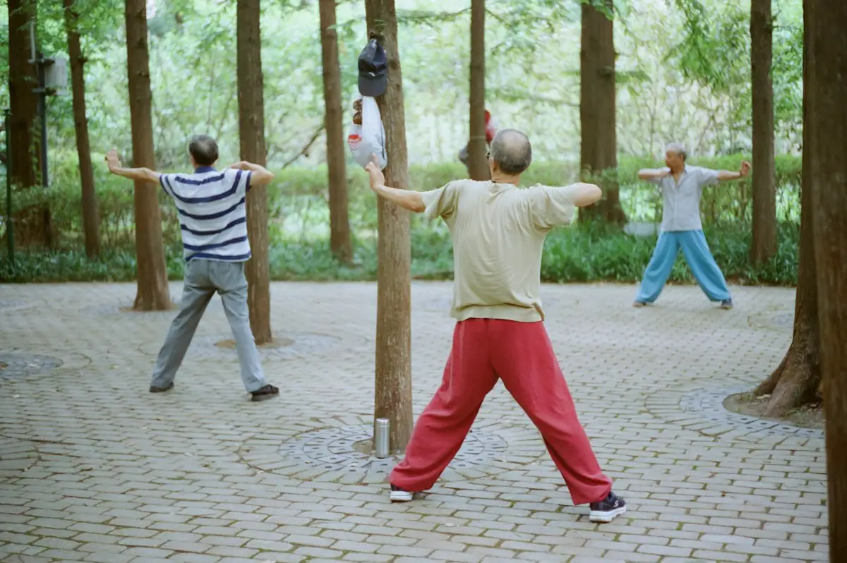 Mensen doen Qi Gong-oefeningen in een park