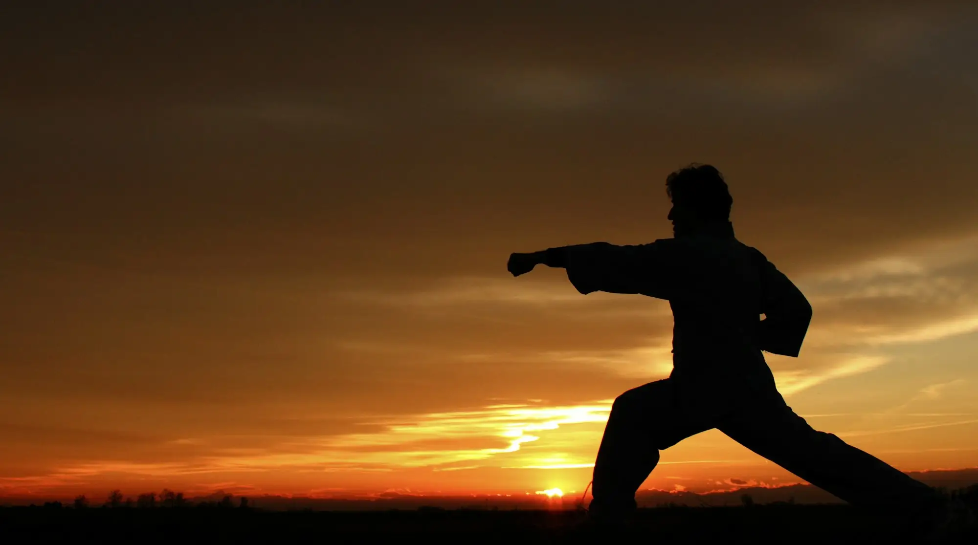 Silhouet van een vechtsporter bij zonsondergang