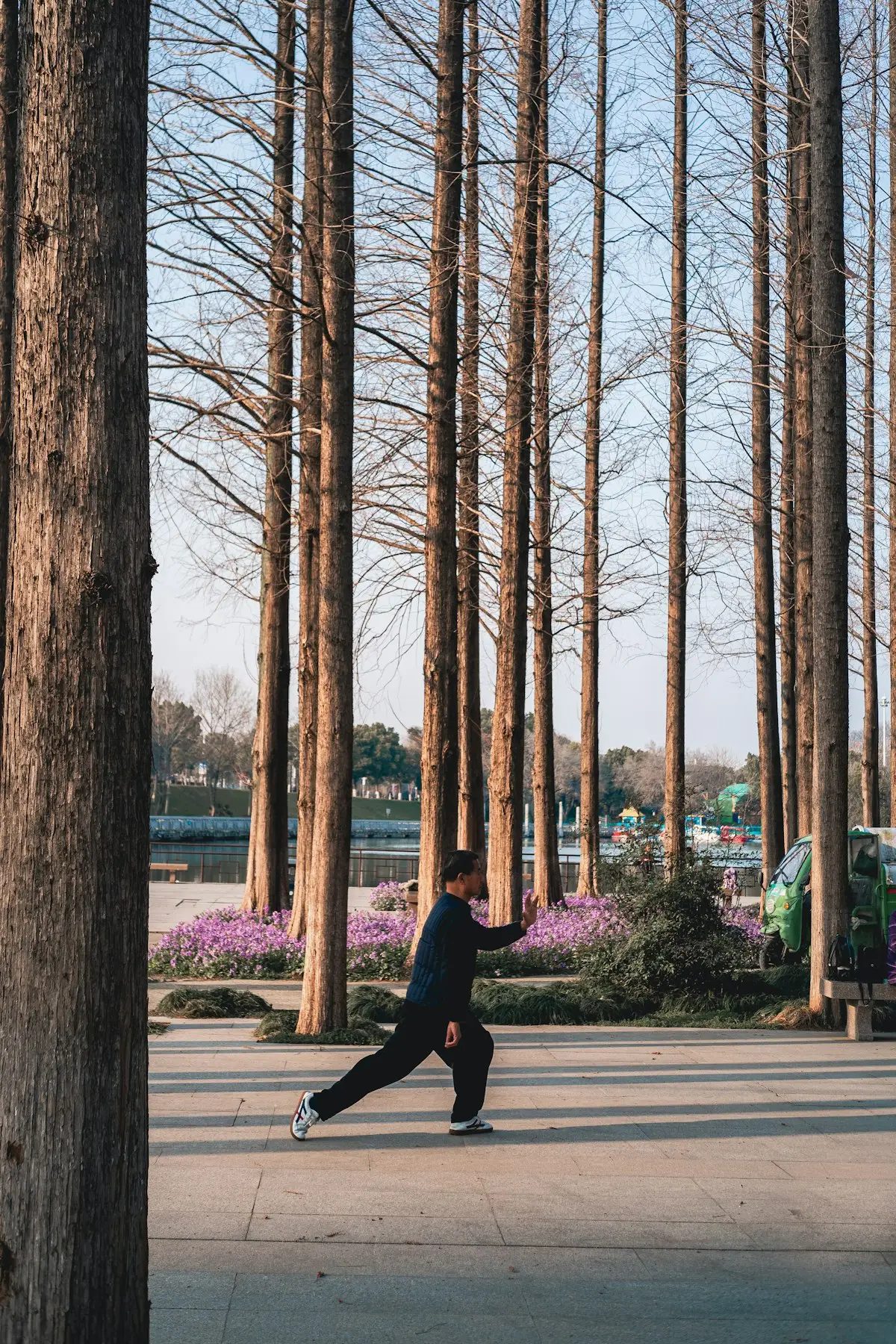 Man beoefent Tai Chi tussen hoge bomen